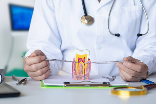 Best Pediatric Emergency Dentist in Stevensville, MT